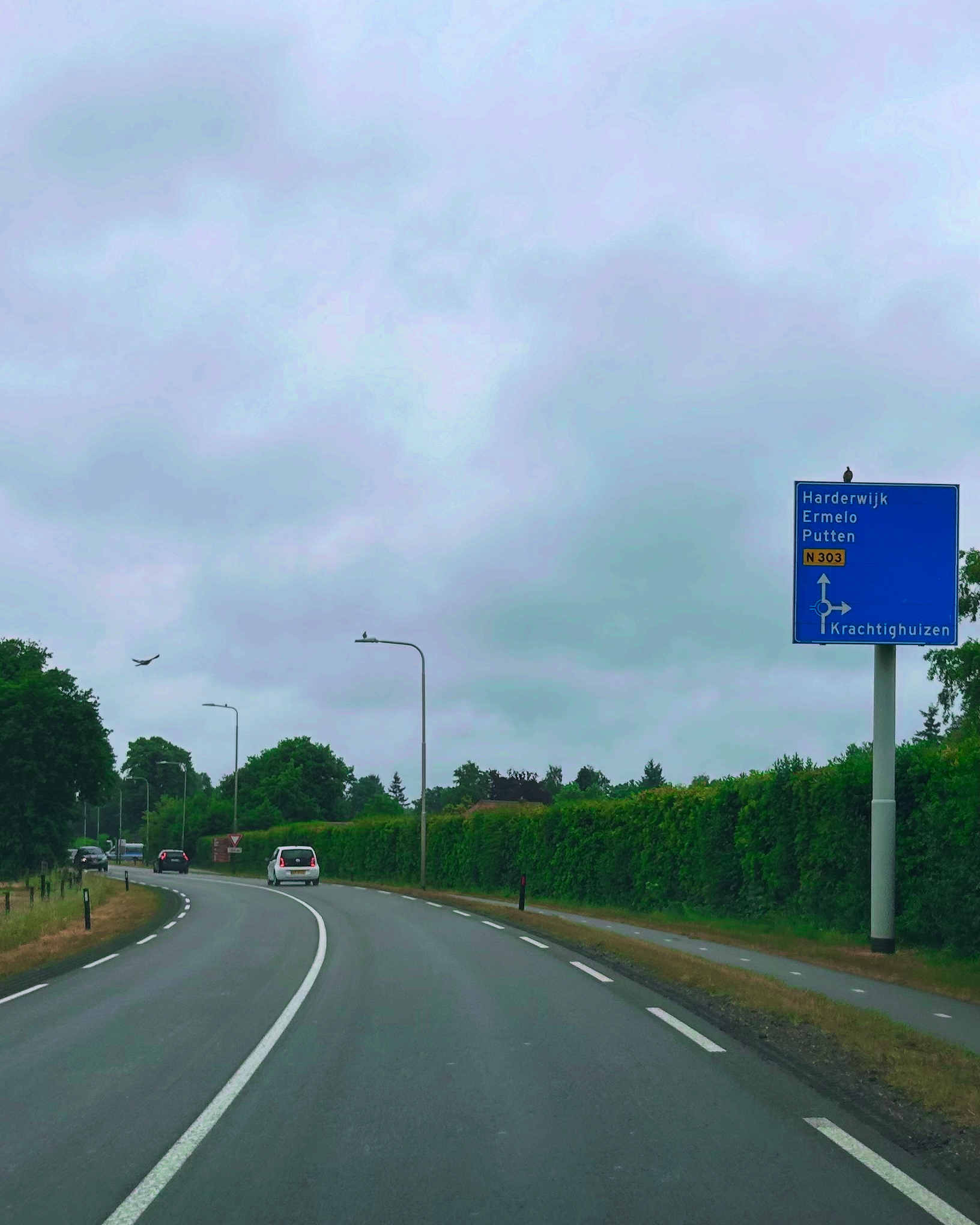 Gemeentebelangen Putten blij met hele aanpak N303 door provincie